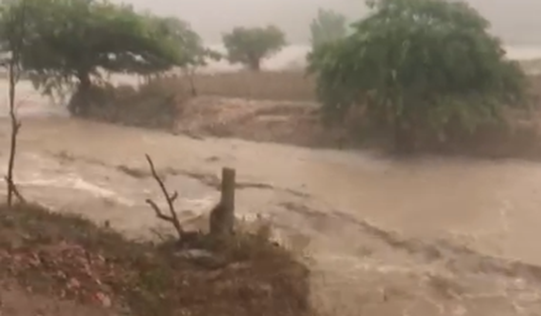 Chuva forte em Traipu faz riachos transbordarem na tarde desta terça (14)