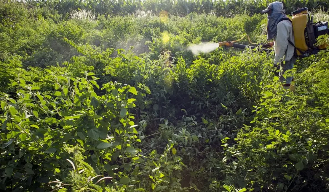 Governo vai monitorar presença de agrotóxico em bacias hidrográficas