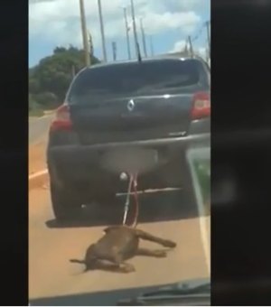 Cachorro amarrado em reboque é arrastado por carro em rua no DF