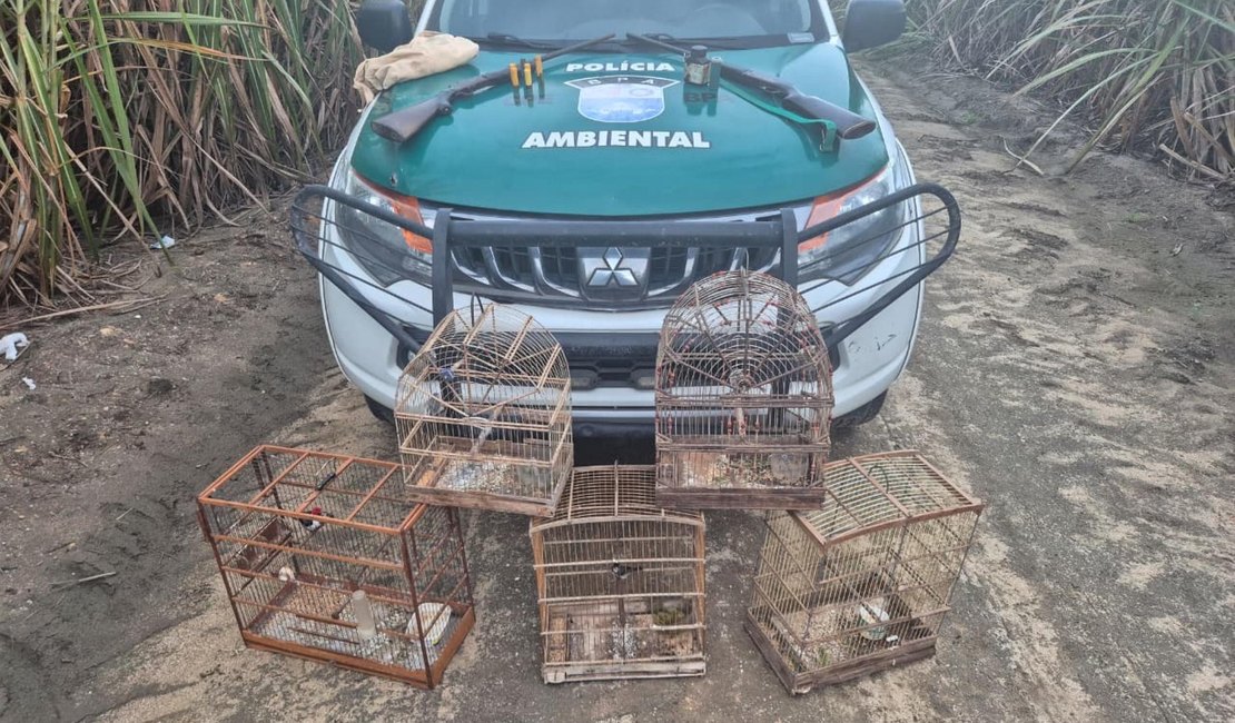 PM apreende armas e resgata mais de 250 animais silvestres durante operações em Alagoas
