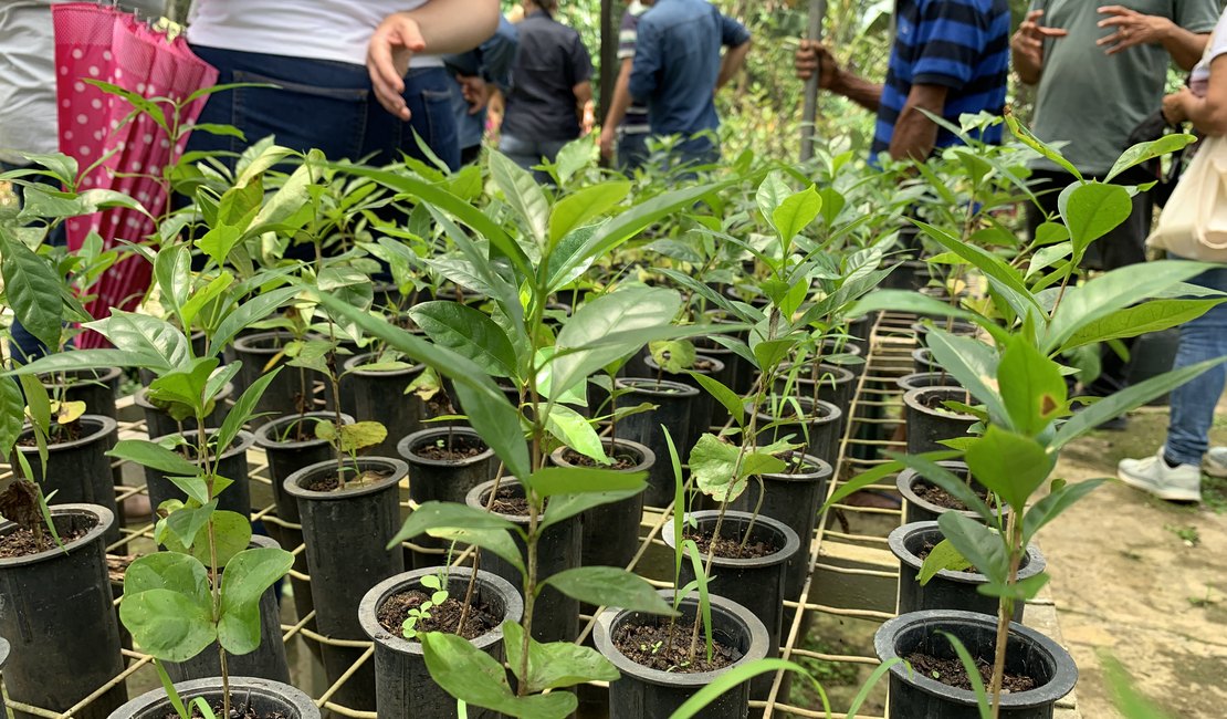 Plano ABC+ Alagoas fomenta a agricultura sustentável no estado