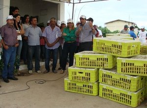 Programa de Avicultura Familiar entrega aves