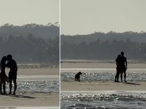 Shawn Mendes e Bruna Marquezine se beijam na praia de São Miguel dos Milagres