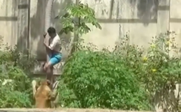 Homem morre após invadir jaula de leões em parque zoobotânico de João Pessoa