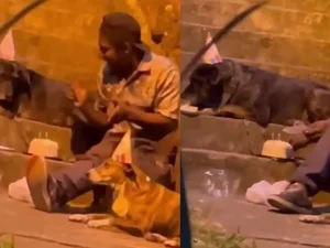 Vídeo: morador de rua canta parabéns com cães, divide bolo e emociona