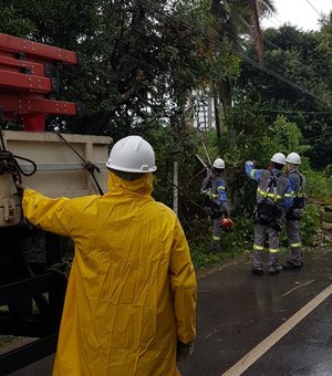 Queda de coqueiro deixa bairros de Maceió sem energia elétrica