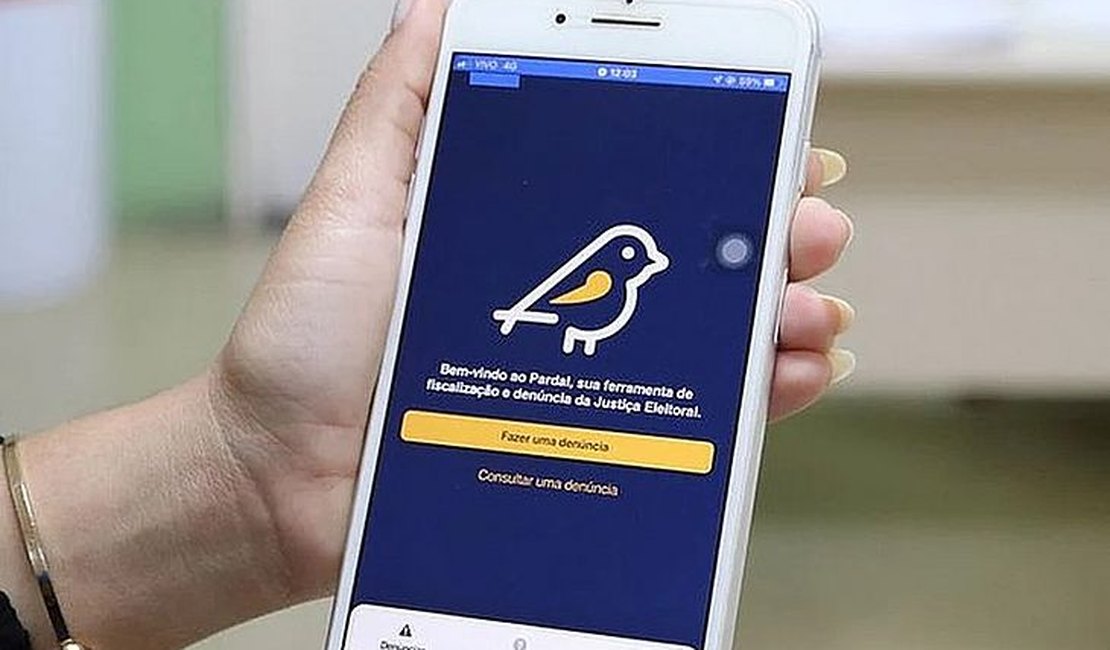 Propaganda eleitoral irregular: saiba como denunciar por meio do app Pardal