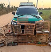 Polícia apreende duas armas e resgata 59 animais silvestres em Alagoas