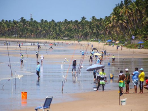 Campeonato de Surfcasting movimenta Japaratinga