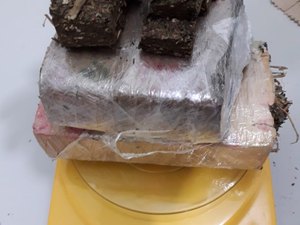 Polícia Civil apreende tablete maconha dentro de residência, em Cacimbinhas 