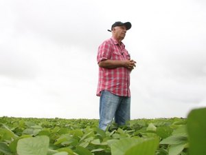 Agricultura promove Dia de Campo sobre colheita da soja nesta quarta-feira (20)