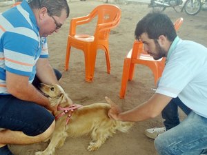 Prefeitura mantém vacinação antirrábica