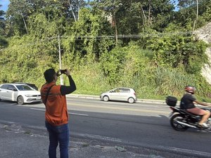 Defesa Civil de Maceió recomenda retirada de árvores em áreas de risco