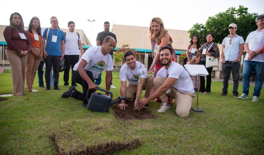 Arapiraca se consolida como referência em arborização urbana no Nordeste