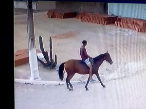 Policial é assaltado por ladrão montado à cavalo em Arapiraca