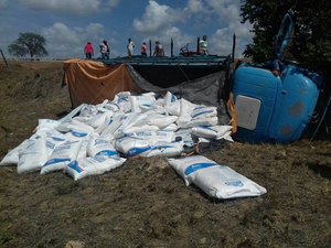 Pneu estoura e caminhão tomba na AL-110