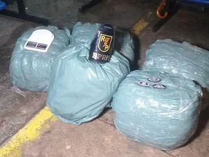 Policia apreende 41 quilos de maconha em residência na Chã da Jaqueira
