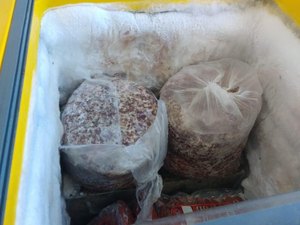 Vigilância fiscaliza supermercados e apreende 150 kg de alimentos impróprios para consumo