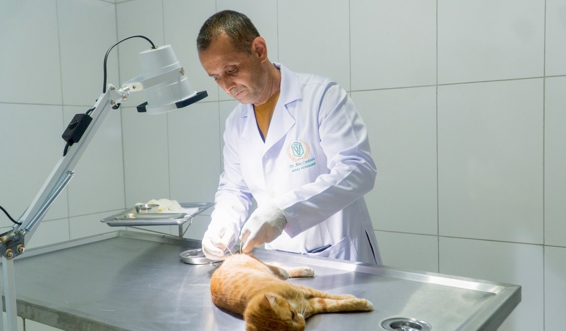 [Vídeo] Japaratinga abre portas da Sala de Castração de Animais