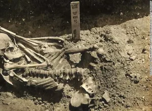 Cientistas descobrem a mais antiga vítima de um ataque de tubarão