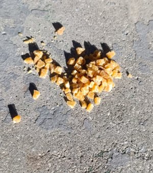 Guarda Municipal apreende 85 pedras de crack durante ação na Ponta Verde