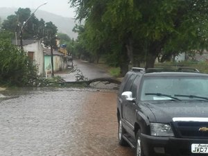 Chuva causa transtorno em Palmeira dos Índios