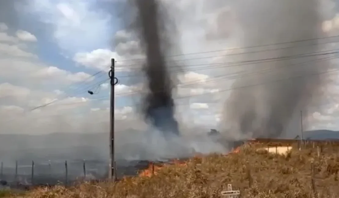 Fogo atinge vegetação às margens de rodovia na zona rural de Arapiraca
