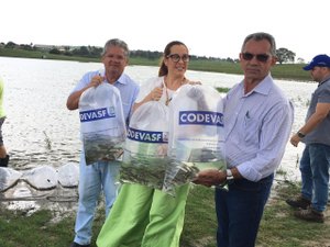 Prefeitura e Codevasf realizam peixamento com mais de 35 mil alevinos em Lagoa da Canoa