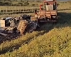 Caminhão com carga de tilápias sai da pista para evitar colisão na BR-423, em Delmiro Gouveia