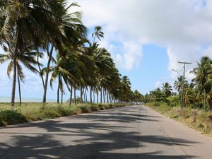 Acidente de trânsito é registrado na AL 465 em Japaratinga