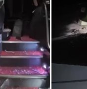 Ônibus com universitários é atacado com bombas caseiras na BR-104, em Messias