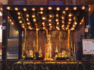 Tutora faz homenagem diferente para cão falecido e comove a web