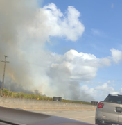 Incêndio em vegetação deixa Arapiraca parcialmente coberta por fumaça