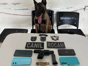 Cão farejador ajuda a prender trio com arma de fogo e drogas em Arapiraca