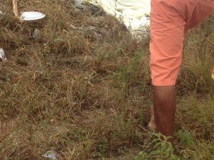 Colisão entre carro e carroça deixa condutor e animal mortos e mulher gravemente ferida