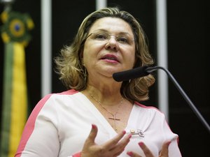 Bancada feminina elege Secretaria da Mulher amanhã, em Brasília. Tereza Nelma é candidata