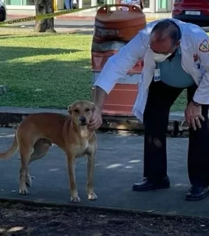 Cachorro 'guarda' corpo de dono após homem morrer em Porto Rico
