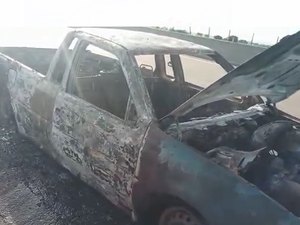 [Vídeo] Carro pega fogo na AL-220 e motorista não é encontrado no local