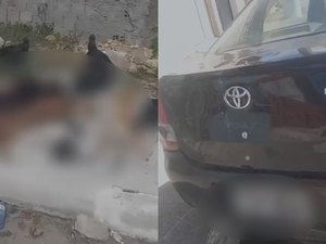 Motorista que atropelou e matou quatro cachorros em Maceió é identificado pela Polícia Civil
