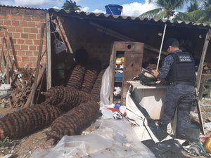 Polícia recupera 2 mil quilos de fumo roubados em Arapiraca