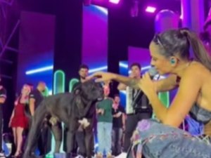 Cantora Michele Andrade adota cachorro que invadiu palco em show