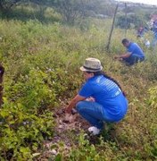 Prefeitura de Limoeiro de Anadia e Com-vidas realizam plantio de mudas na área do antigo lixão