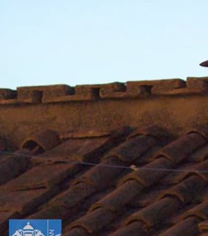 Fumaça preta: Papa não é eleito na manhã do segundo dia de conclave