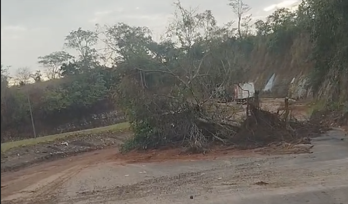 Queda de barreira deixa o trânsito lento no Trevo do Cuscuz, no Agreste