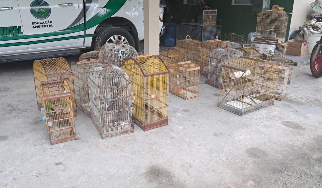 PM resgata 40 aves silvestres durante operação ambiental no interior de Alagoas