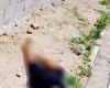 Homem com passagem pela Polícia é executado em Rio Largo