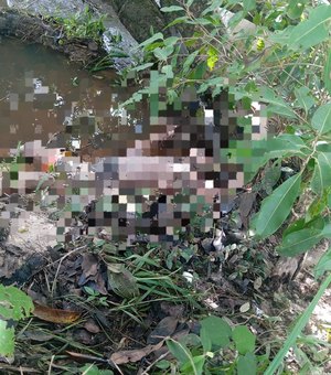 Homem morre afogado na zona rural de Maragogi