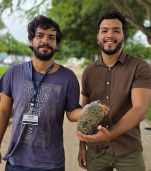 Arapiraca instala solução baseada na natureza para medir qualidade do ar