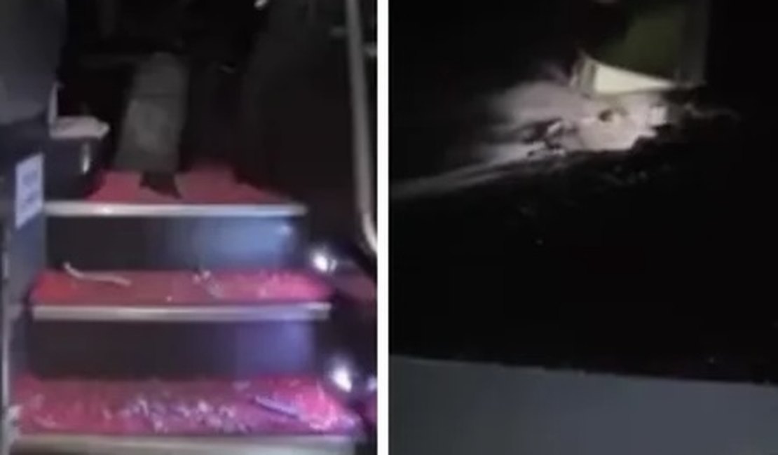 Ônibus com universitários é atacado com bombas caseiras na BR-104, em Messias