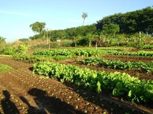 Produtores participam de inauguração de feira de agricultura em São Sebastião